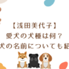 【浅田美代子】愛犬の犬種は何？愛犬の名前についても紹介