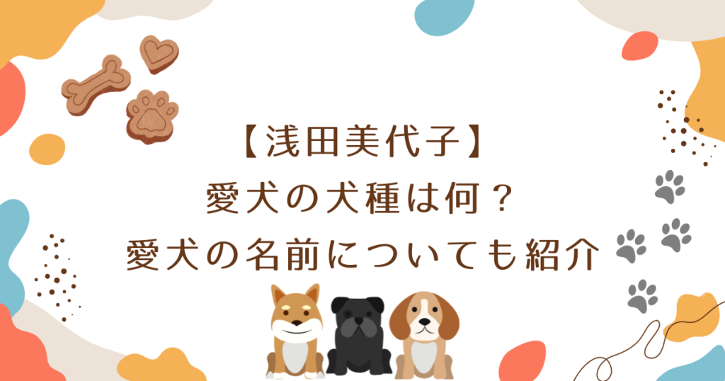 【浅田美代子】愛犬の犬種は何？愛犬の名前についても紹介